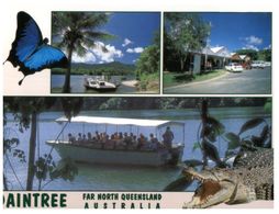 (B 11) Australia - QLD - Daintree With Crocodile - Far North Queensland