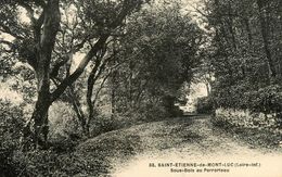 St Etienne De Montluc * Sous Bois Au Perrorteau - Saint Etienne De Montluc