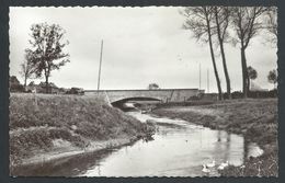 +++ CPA - Photo Carte - ETALLE - Vallée De La Semois  // - Etalle