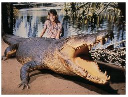 (B 18) Australia - NT - Darwin Art Gallery & Museum (crocodile) - Darwin