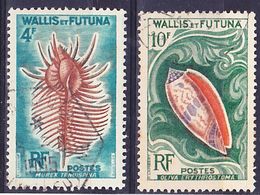 Wallis Et Futuna 1962 Coquillages Mi 196, 197 Oblitéré O - Oblitérés