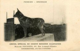 Courbevoie * Chenil Spécial De Chiens Bergers Allemands , Mme FOURNIER 161 Rue Armand Silvestre Près Gare Asnières - Courbevoie