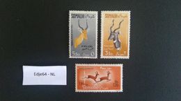 1958 Italiaans Somaliland Luchtpostzegels Antilopen - Somalie