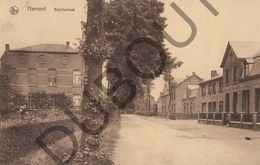 Postkaart - Carte Postale Hamont - Boschstraat  (B510) - Hamont-Achel
