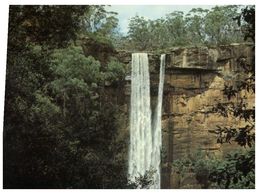 (C 5) Australia - NSW - Fitzroy Falls (mint) - Wollongong