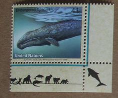 NY08-01 : Nations-Unies (New-York) / Protection De La Nature - Baleine Grise - Unused Stamps