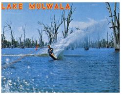 (C 31) Australia - VIC - Lake Mulwala Waterski / Ski Nautique - Wasserski