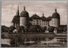 Moritzburg - S/w Schloss Moritzburg 16 - Moritzburg