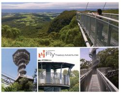 (D 1) Australia - NSW - Illawarra Treetop Adventure - Wollongong