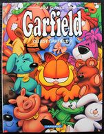 BD GARFIELD - 45 - Où Est Garfield ? - EO Dargaud 2007 - Garfield