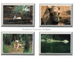 (D 15) Australia - NT - Wildlife - Sin Clasificación