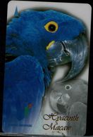 SINGAPORE 2000 PHONECARD PARROTS USED VF!! - Perroquets