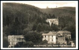 D8296 - Elgersburg Hotel Herzog Ernst Mit Villa Devo - Verlag L. Münch - Elgersburg