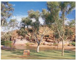 (D 23) Australia - NT -  Alice Springs Waterhole - Alice Springs