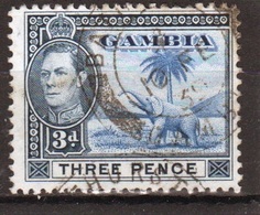 Gambia George VI 1938 3d Definitive Stamps. - Gambia (...-1964)