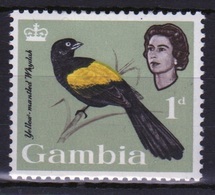 Gambia Queen Elizabeth  1963  Single 1d Stamp From The Birds Definitive Set. - Gambia (...-1964)