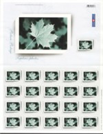 2004  Picture Postage - Picture Frame   MNH Sheet Of 21    Sc 2064 ** - Feuilles Complètes Et Multiples