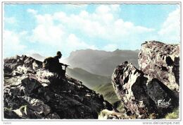 Carte Postale Escalade  Alpinisme  Trés Beau Plan - Klimmen