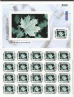 2004 Picture Postage - Ribbon MNH Sheet Of 21 Sc 2063 ** - Hojas Completas
