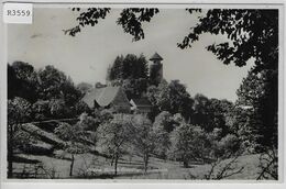 Schloss Birseck-Eremitage - Arlesheim - Arlesheim