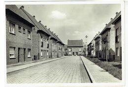 ZELE - Burgemeester Van Ackerwijk - Foto E. De Smet - Zele