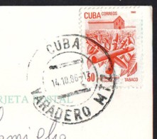 Exportations, Stamp Of Cuba Year 1982  On Postcard - Briefe U. Dokumente