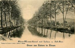 Saverne * Gruss Aus Zabern In Elsass * Rhein Marne Kanal Mit Zabern U. Hoh Barr - Saverne