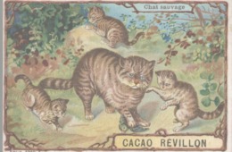 CHROMO CHOCOLAT CACAO SOLUBLE REVILLON  LES CHATS  CHAT SAUVAGE - Revillon