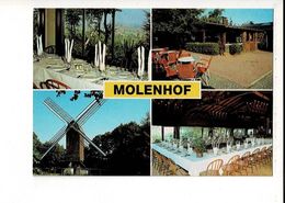 55783 - CAFE RESTAURANT HET MOLENHOF - RODENBERG - MONT ROUGE - WESTOUTER - Houthulst