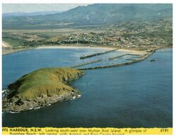 (F 16) Australia - NSW - Coffs Harbour (Mutton Bird Island) - Coffs Harbour