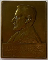 Médaille Bronze. Fernand Vlemincx Avocat à La Cour D'Appel Ses Confrères Et Amis. 1876-1926.  A. Bonnetain - Unternehmen