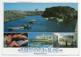 FUERTEVENTURA - ISLAND - Multivues - Fuerteventura