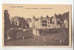 France 39 - Environs D'Orgelet - Le Château De Mérona - Achat Immédiat - Orgelet