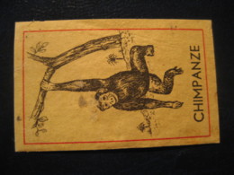 Chimpanzee Chimpanzees Chimpanze Chimpanzes Poster Stamp Vignette NETHERLANDS HOLLAND Label Mammal Mammals - Chimpansees