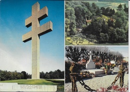 Colombey Les Deux Eglises - Le Mémorial, La Boisserie, La Tombe De La Famille De Gaulle - Colombey Les Deux Eglises