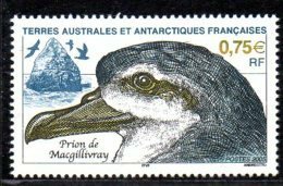 TAAF 0408 Oiseau Prion - Antarctic Wildlife