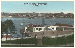 COLOURED CARD - SWIMMING POOL & BAY   - BANGOR - COUNTY DOWN - - Down