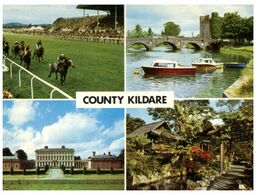 (I 3) Ireland - Country Kildare (with Horse Racing) - Kildare