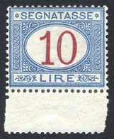 1890-94 SEGNATASSE 10 LIRE N.28 NUOVO* TRACCIA DI LINGUELLA OTTIMA CENTRATURA E BDF - MLH LUXUS - Taxe