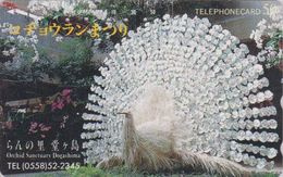 Télécarte JAPON / 290-37937 - OISEAU - PAON En Orchidée - PEACOCK BIRD In Orchid JAPAN Phonecard - PFAU Vogel - 5105 - Gallinaceans & Pheasants