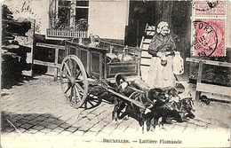 BELGIQUE - BRUXELLES - Laitière Flamande - Petits Métiers