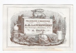 1 Carte Porcelaine  Pharmacie & Droguerie A.Lancksweert Rue St.George Steendam Gand Lith.Vande Steene Afm.:12x8cm - Cartes Porcelaine