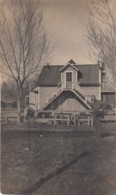 Colorado Springs CO, Home Residential Neighborhood, Walnut Avenue Sign, Saddle On Railing C1910s Vintage Postcard - Colorado Springs