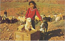 This Little Navajo Girl Is Proud Of Her Sheep Dogs. - Monument Valley