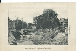 JALLIEU   ( ISÈRE )    LES BORDS DE LA BOURBRE - Jallieu