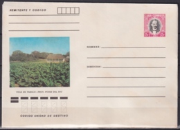 1984-EP-124 CUBA 1984 5c POSTAL STATIONERY COVER. PINAR DEL RIO, VEGA DE TABACO TOBACCO. - Briefe U. Dokumente