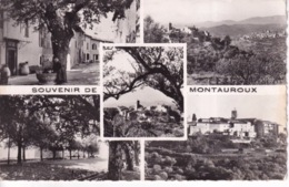 MONTAUROUX - Montauroux