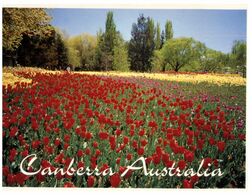 (K 11) Australia - ACT - Canberra Floriade (tulips) (10 30 0930) - Canberra (ACT)