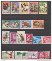 Lot De 19 Timbres Oblitérés  De ROUMANIE Années 60  (T16)  Chat - Other & Unclassified