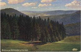 AK Heldrungen - Thüringer Wald - Blick Von Der Schmücke - 1925 - Heldrungen